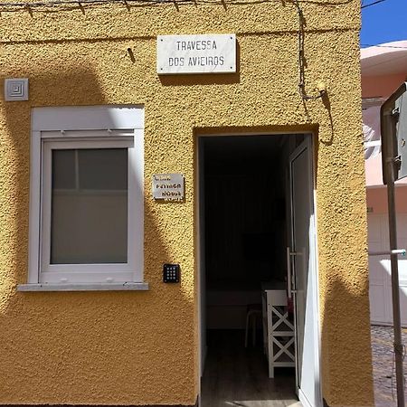 Casas Dona Emilia Lejlighed Vieira de Leiria Eksteriør billede